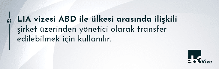amerika şirket yöneticisi transferi