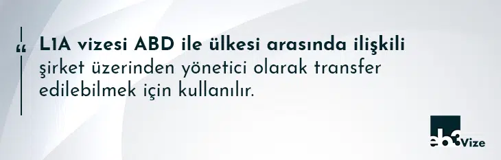 amerika şirket yöneticisi transferi