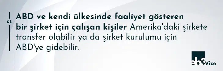 l1 amerika şirket vizesi