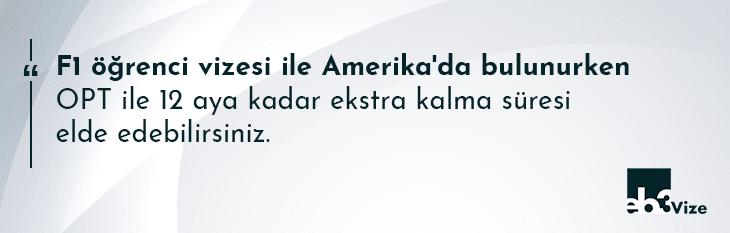opt vizesi